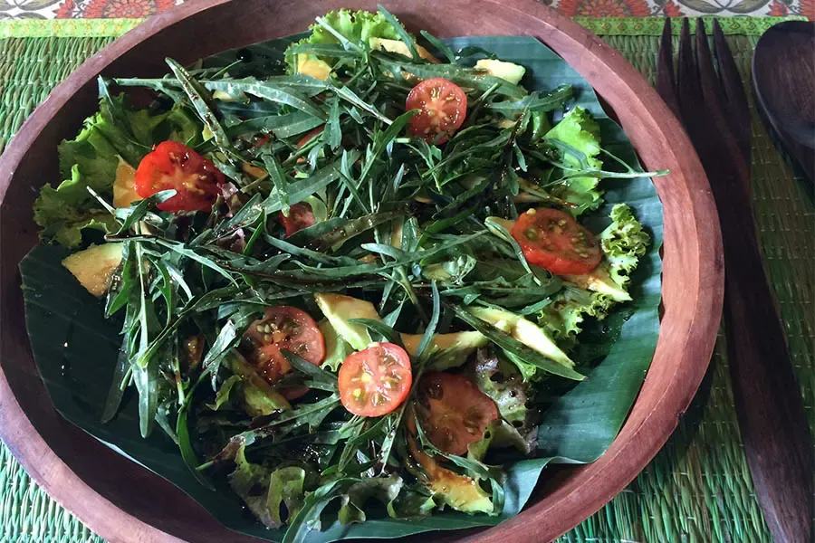 Garden Greens & Avocado Salad at Annam, BeingSattvaa
